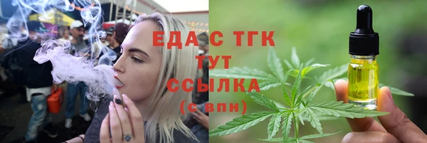индика Балахна