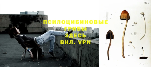 спайс Баксан