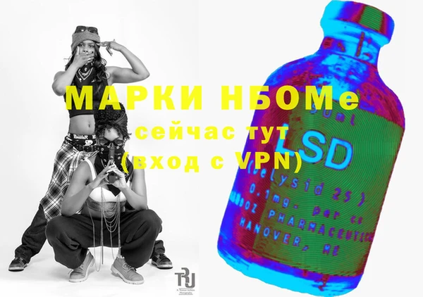 индика Балахна