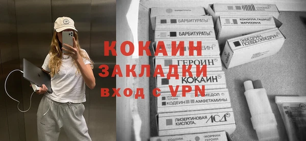 индика Армянск